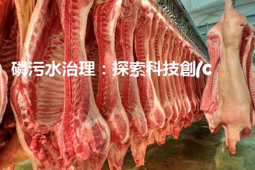 磷污水治理：探索科技創(chuàng)新，拯救環(huán)境之殤！